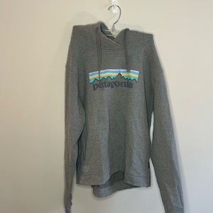 patagonia hoodie